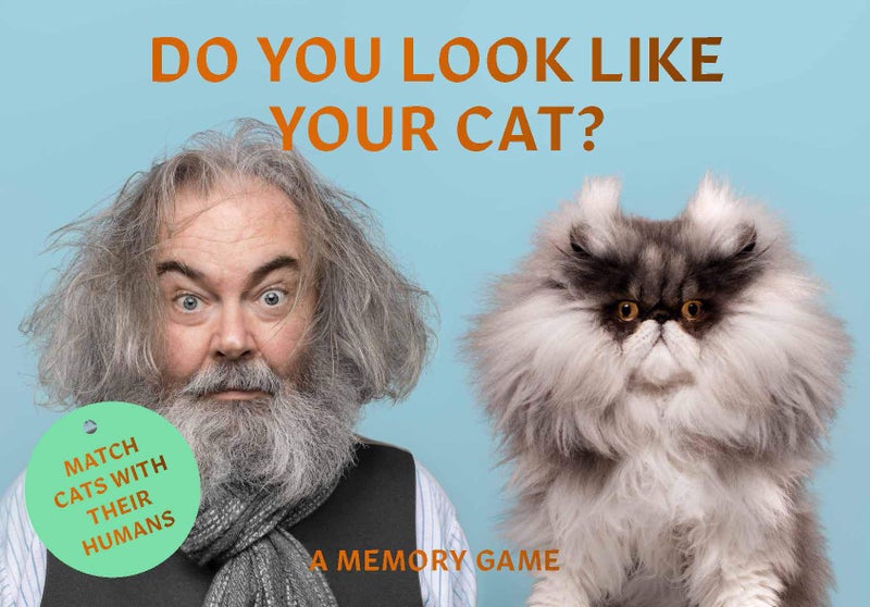 Laurence King Do You Look Like Your Cat? A Matching Memory Game - Image 1